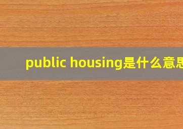 public housing是什么意思